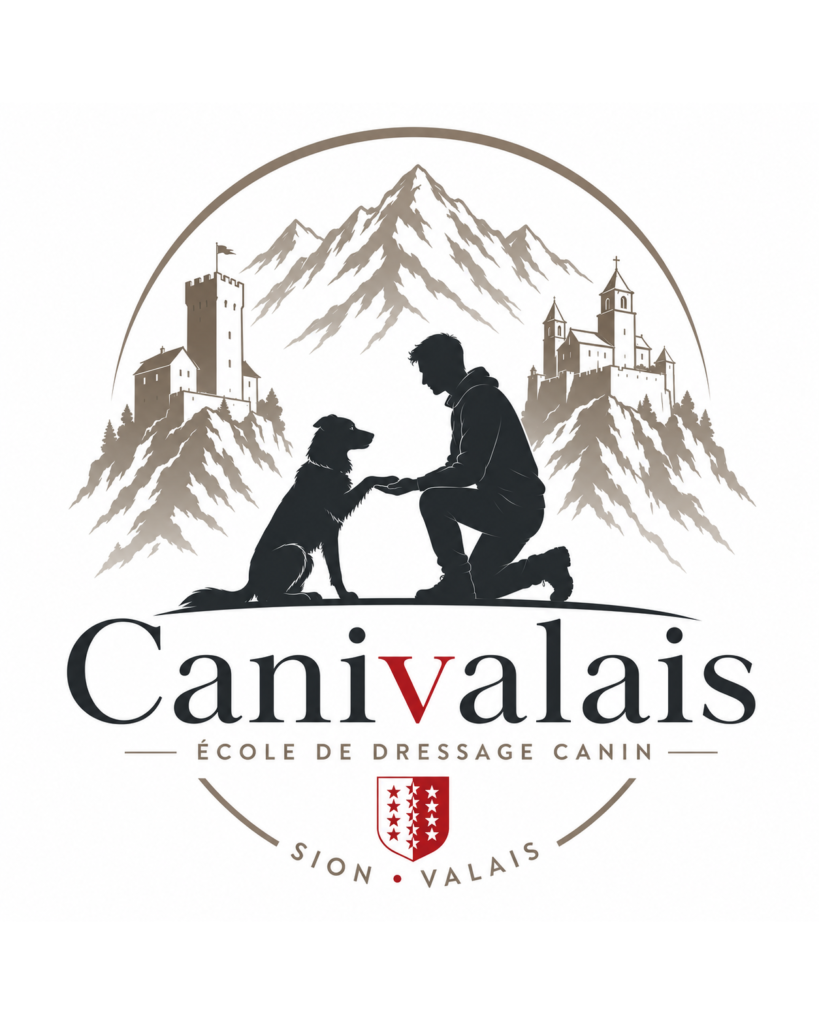 Chien et maître en séance d'éducation dans les Alpes valaisannes